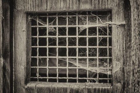window-1690052_640